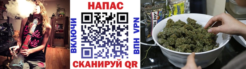 цены Междуреченск Бошки Шишки индика